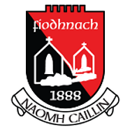 Fenagh St Caillin's