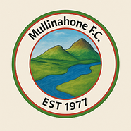Mullinahone FC