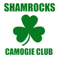 Shamrocks Camogie