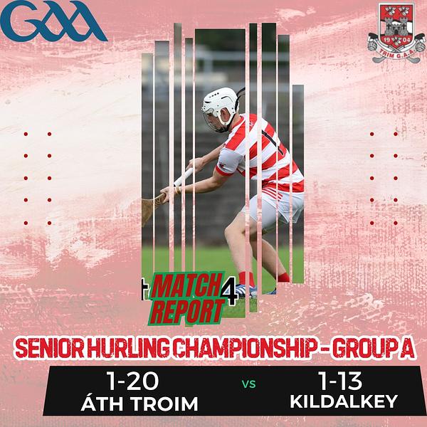 Senior hurling championship online