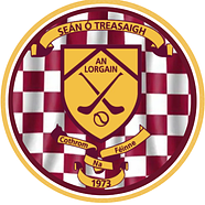 Sean Treacys Hurling Club Lurgan