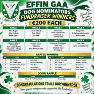 Effin GAA Dog Winners