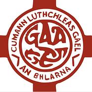 Blarney GAA & Camogie Club