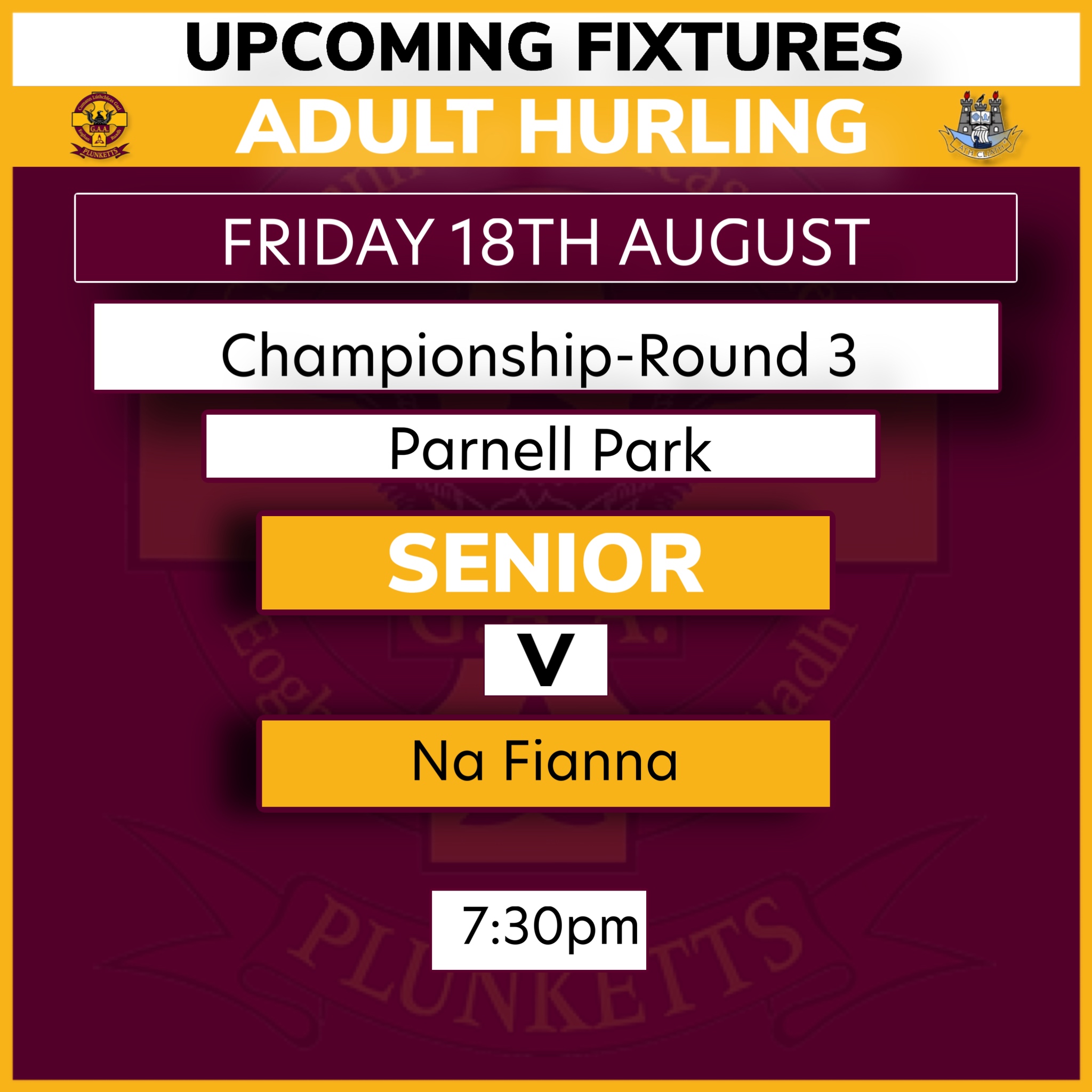 Senior hurling 2024 championship fixtures