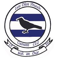 Lisdowney GAA and Camogie