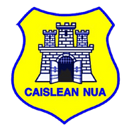 Newcastle GAA Wicklow