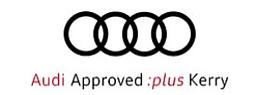 Audi Kerry