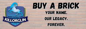 Buy a Brick