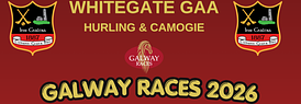 2026 Galway Races Fundraiser Ticket