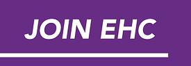 Join Enniscorthy HC